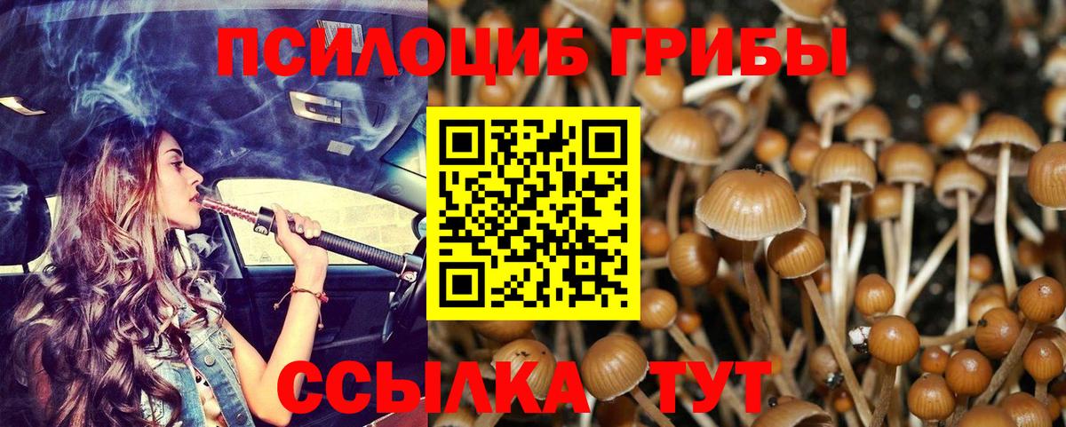 Псилоцибиновые грибы GOLDEN TEACHER Киселёвск