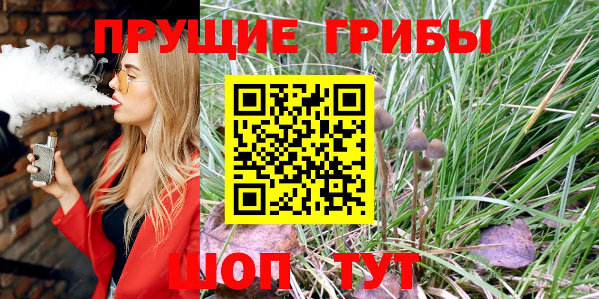 Галлюциногенные грибы прущие грибы  Вход с VPN  закладка  Киселёвск 